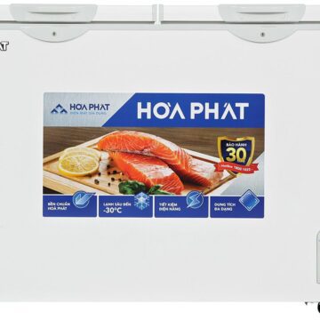 Tủ đông Hòa Phát HPF BD6245 - hình số 1