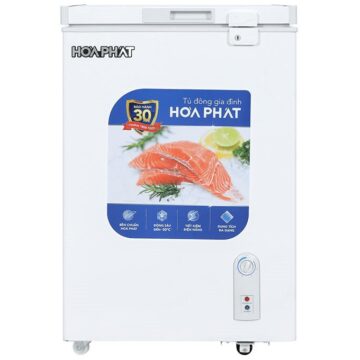 Tủ đông Hòa Phát HPF AN6107 - hình số 1