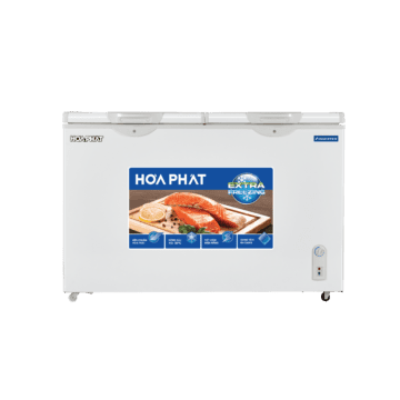 Tủ đông Hòa Phát BD8205 - hình số 1