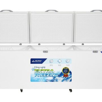 Tủ đông Hòa Phát AD61190 - hình số 1