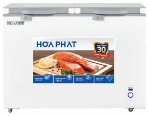 Tủ đông Hòa Phát HPF BD6245.T1 - hình số 1