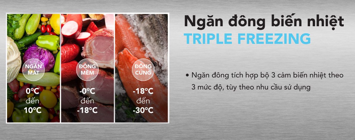 Ngăn đông biến nhiệt Triple Freezing