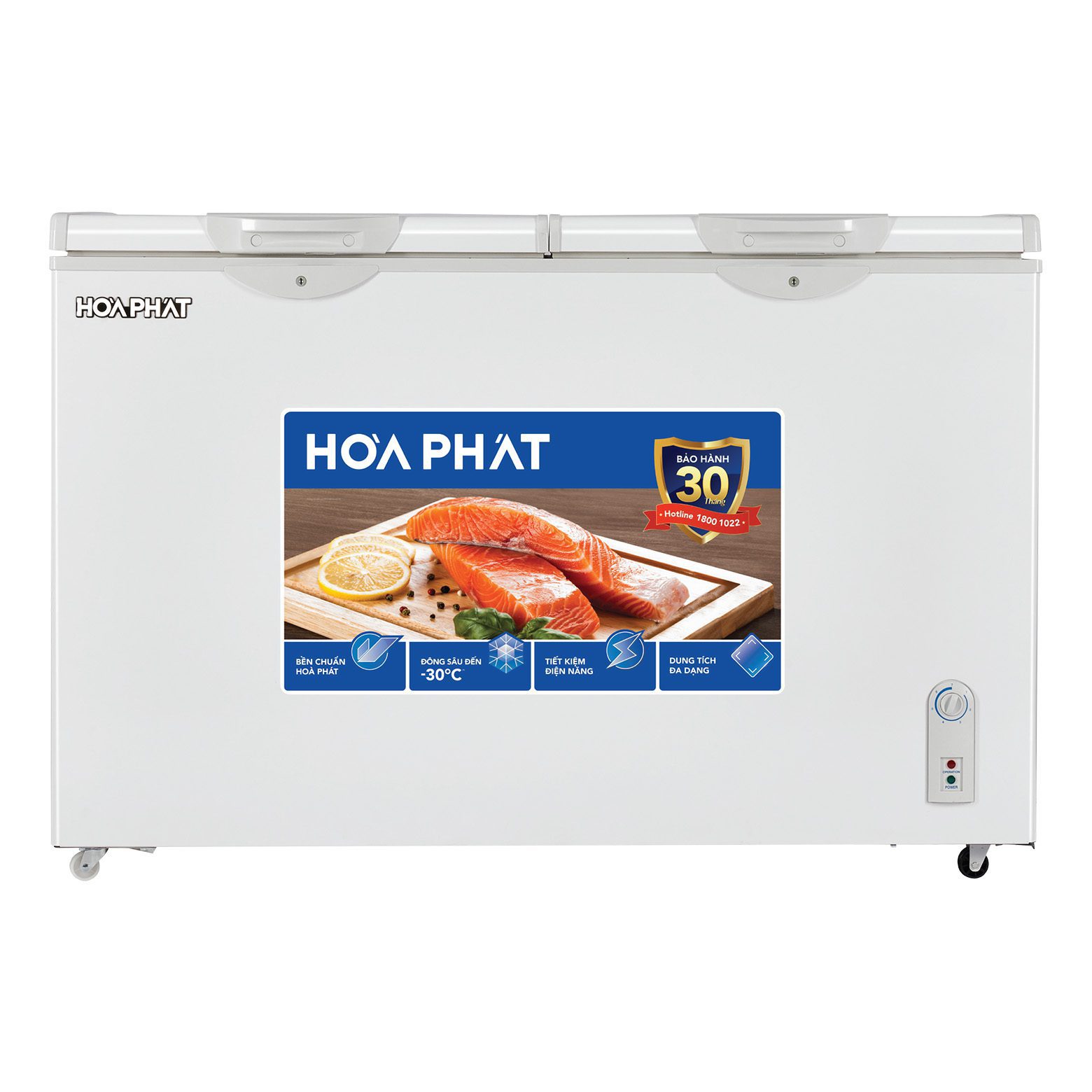 Tủ đông Hòa Phát AN6352 - hình số 1