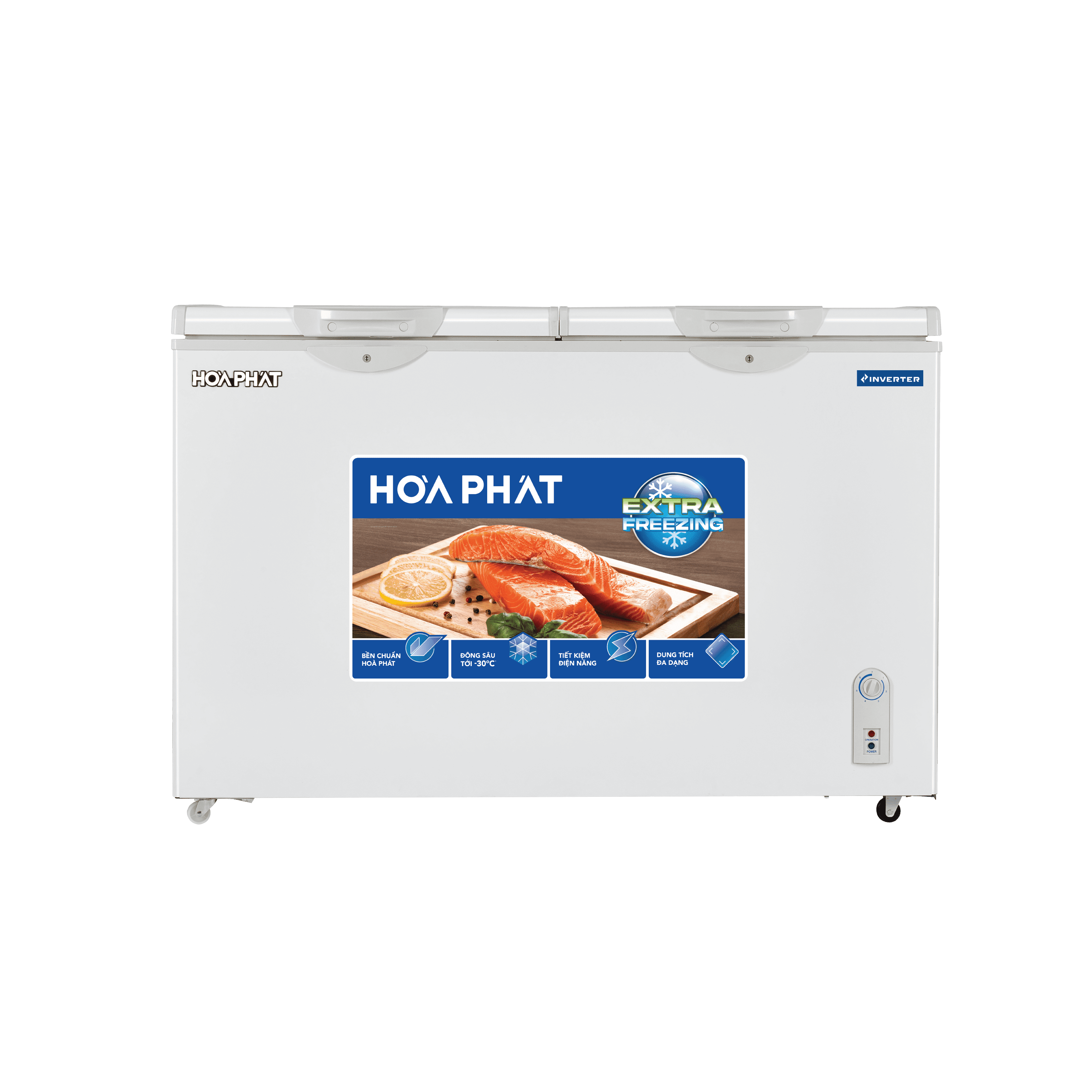 Tủ đông Hòa Phát BD8205 - hình số 1